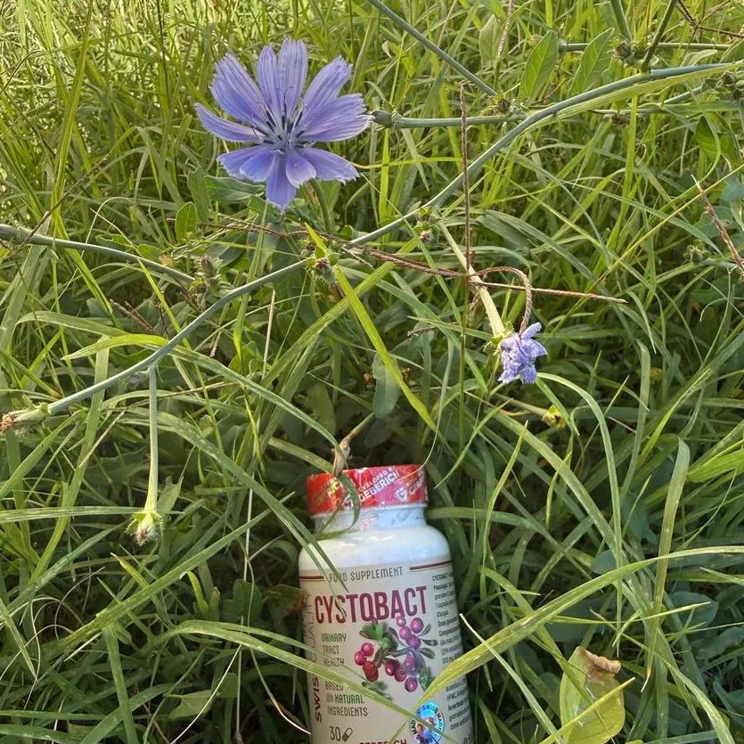 Cystobact — Photo 3